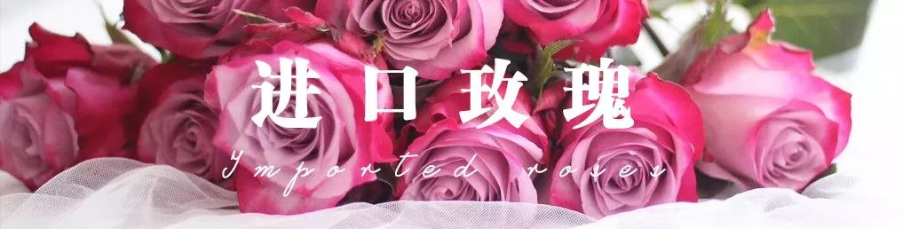 橘色玫瑰花语（一篇文章认全花店必备80种玫瑰花）