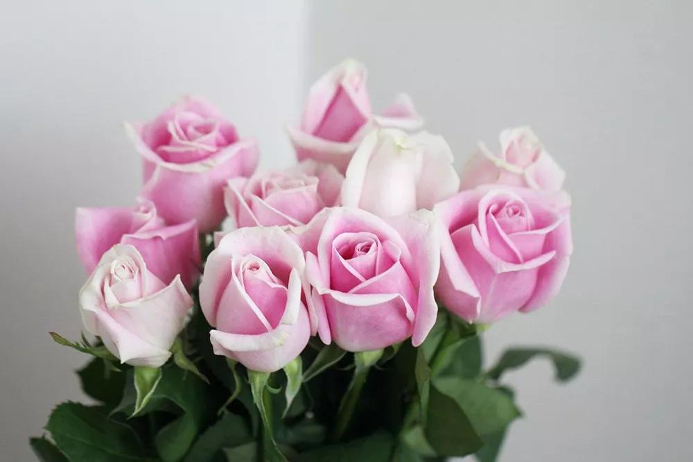 橘色玫瑰花语（一篇文章认全花店必备80种玫瑰花）