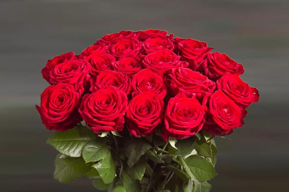 橘色玫瑰花语（一篇文章认全花店必备80种玫瑰花）