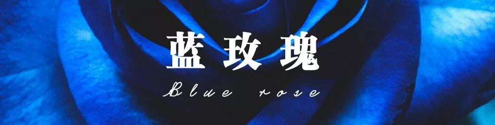 橘色玫瑰花语（一篇文章认全花店必备80种玫瑰花）