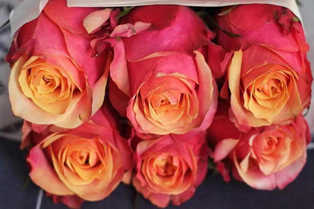 橘色玫瑰花语（一篇文章认全花店必备80种玫瑰花）