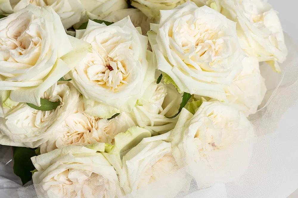 橘色玫瑰花语（一篇文章认全花店必备80种玫瑰花）