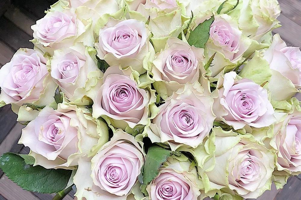 橘色玫瑰花语（一篇文章认全花店必备80种玫瑰花）