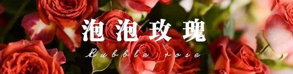 橘色玫瑰花语（一篇文章认全花店必备80种玫瑰花）
