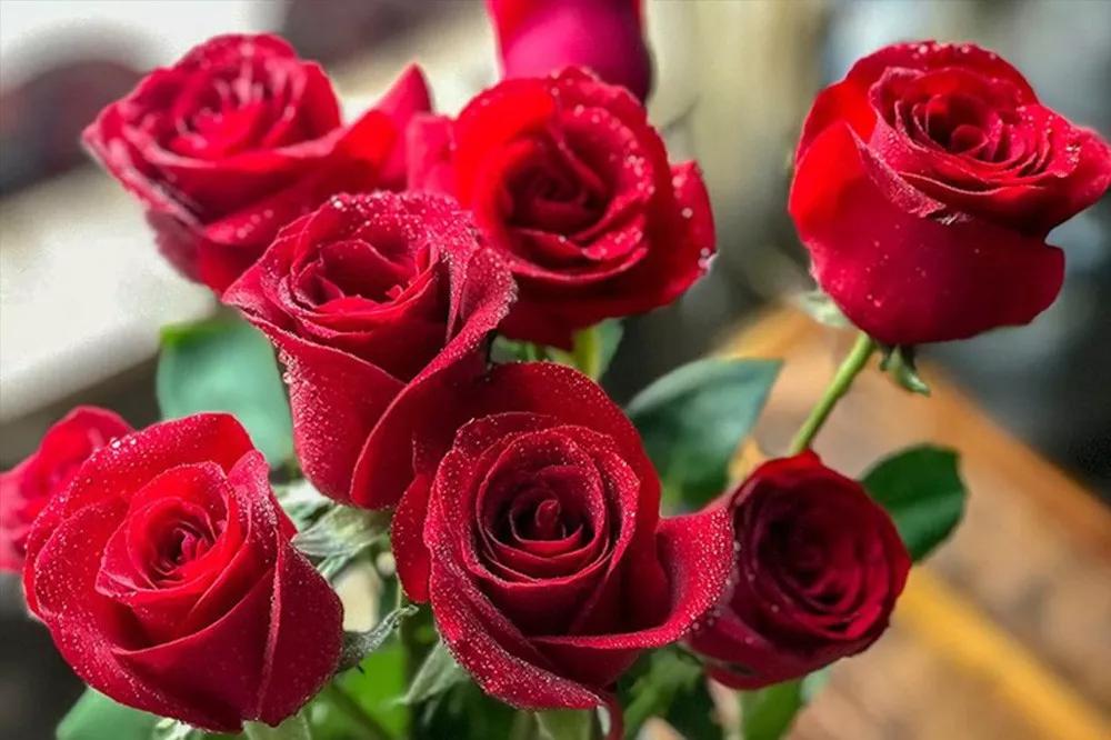 橘色玫瑰花语（一篇文章认全花店必备80种玫瑰花）