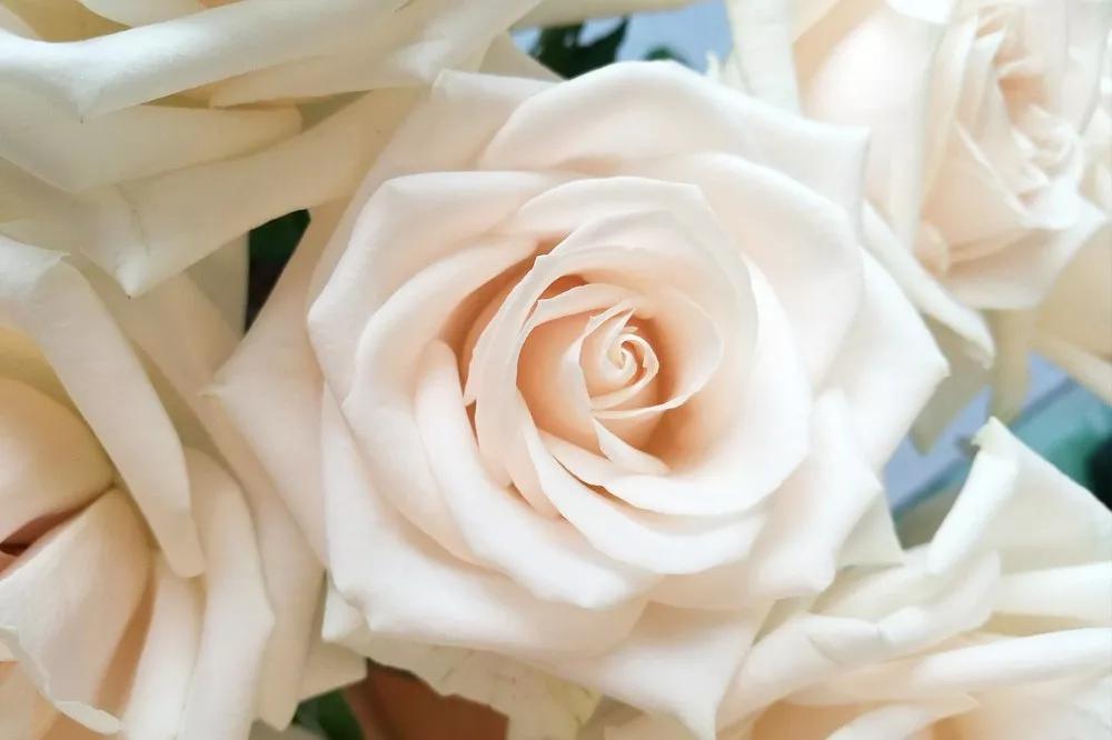 橘色玫瑰花语（一篇文章认全花店必备80种玫瑰花）