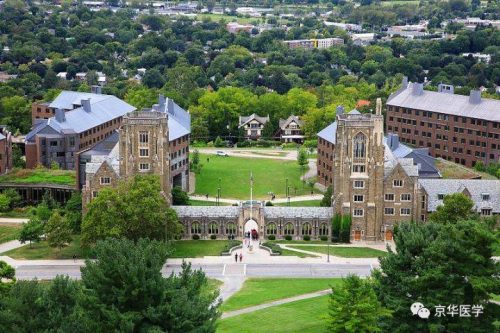 美国十大医学院排名(2021年美国最好的医学院)插图1