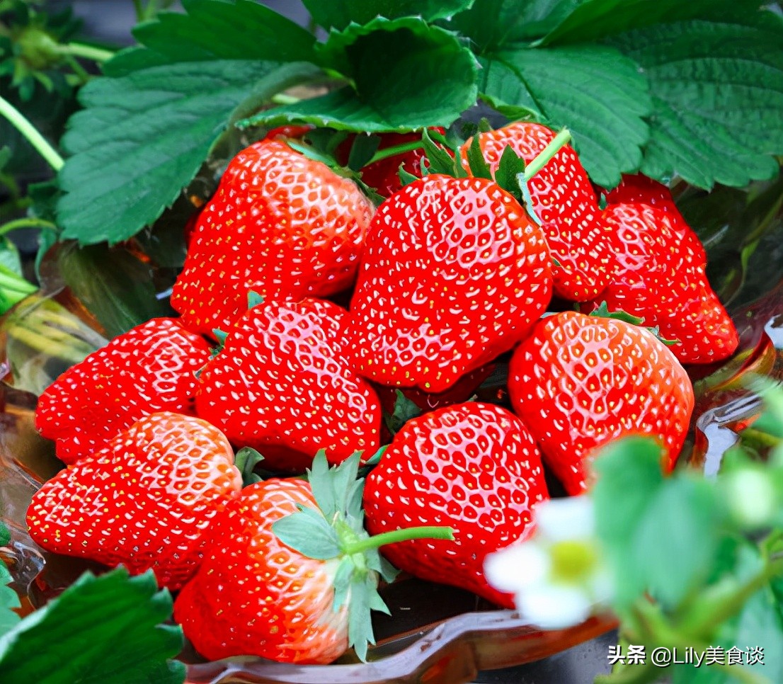 春季水果有哪些种类（分享6种最常见的春季水果）