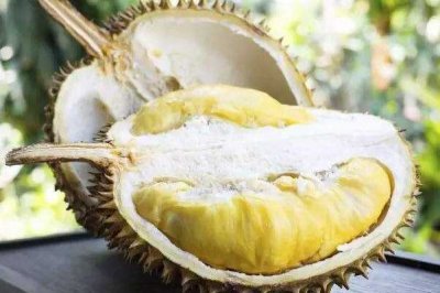 ​榴莲为什么吃了上瘾?水果之王，香甜软糯(诱惑性美食)