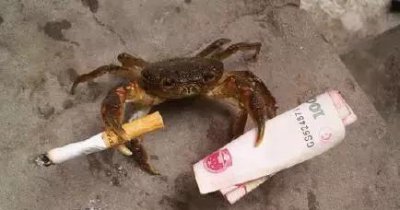 ​火车上的搞笑段子