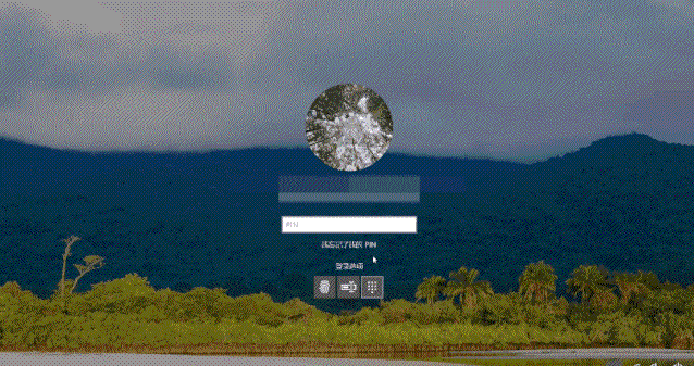 电脑pin码忘记了怎么解锁（找回和重置PIN的方法）