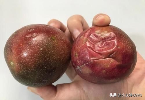 百香果直接带壳冷冻可以吗（百香果保存小技巧）