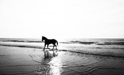 ​用手做事 用脑做事 用心做事(做事有三种境界)