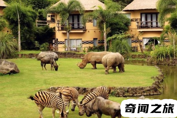 巴厘岛在哪个国家(巴厘岛在印度尼西亚)(5)_