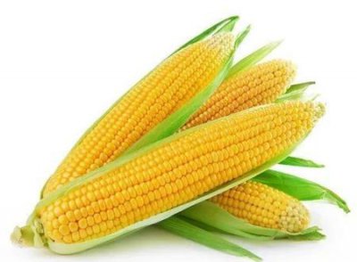 ​玉米有利于通便吗(玉米通便秘吗)