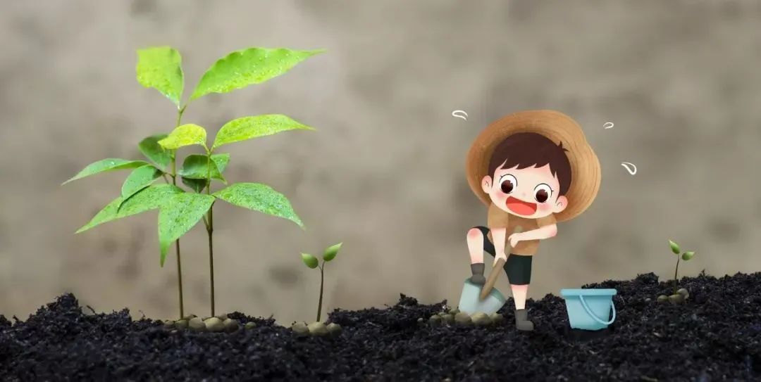 种树的好处（关于为什么要植树的原因讲解）