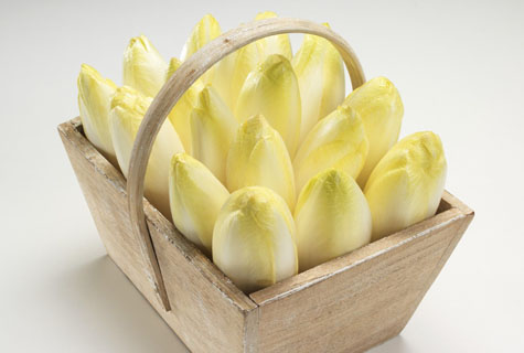 兰菊根的功效与作用（兰菊根的主要功效介绍）