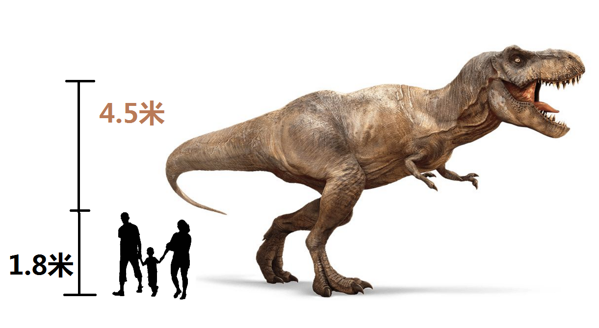 霸王龙长什么样子（图文讲解霸王龙的真正样子）