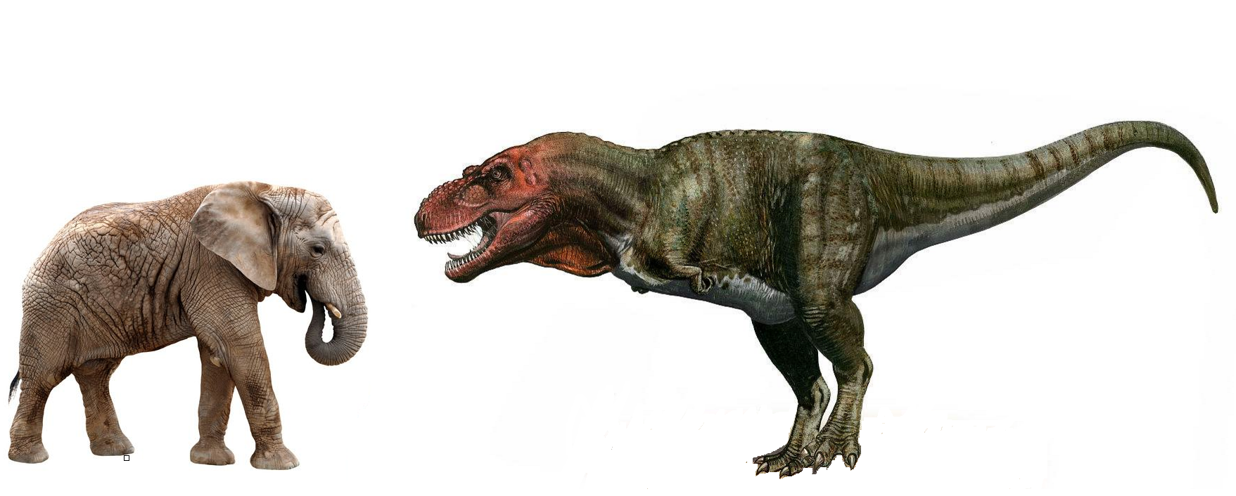 霸王龙长什么样子（图文讲解霸王龙的真正样子）