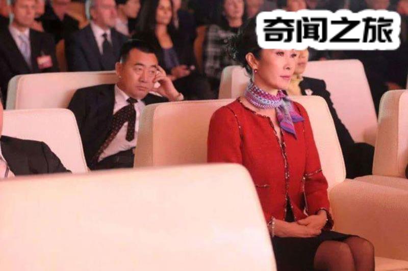 王思聪和妈妈关系（王思聪的妈妈到底是什么来头）(4)_