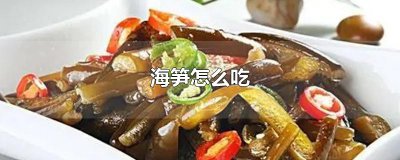 ​海笋怎么吃