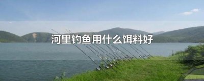 ​河里钓鱼用什么饵料好