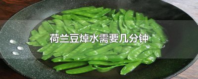 ​荷兰豆焯水需要几分钟