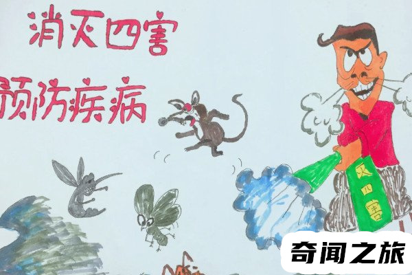 四害是指哪四种虫（苍蝇、蚊子、老鼠、蟑螂）(3)_