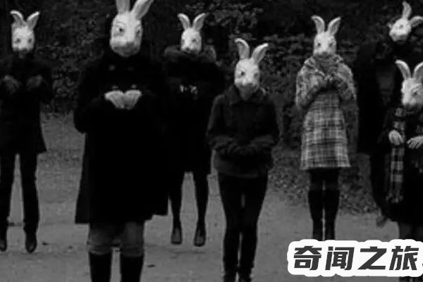 十只兔子的背后故事（看似简单的童谣出现了很多的诡异版本）(3)_