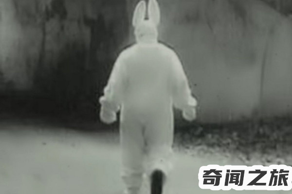 十只兔子的背后故事（看似简单的童谣出现了很多的诡异版本）(4)_