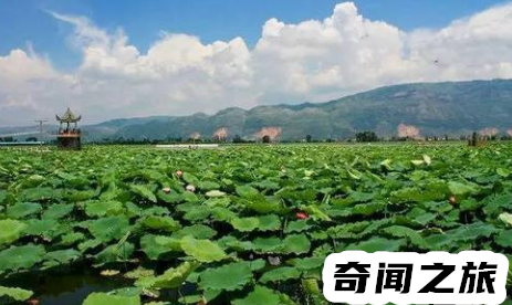 山东曹县最近为啥火了（最近曹县为啥那么火）(1)_