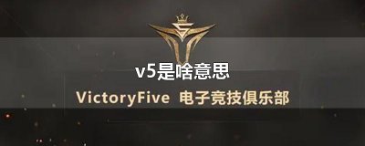 ​v5是啥意思