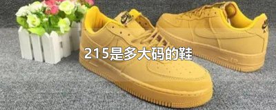 ​215是多大码的鞋