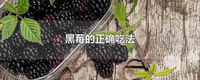 ​黑莓的正确吃法