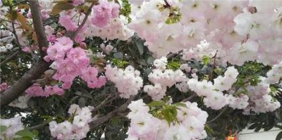 ​女人对男人冷漠,男人会怎样(聪明女人面对男人冷淡)