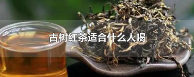 ​古树红茶适合什么人喝