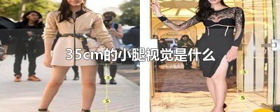 ​35cm的小腿视觉是什么
