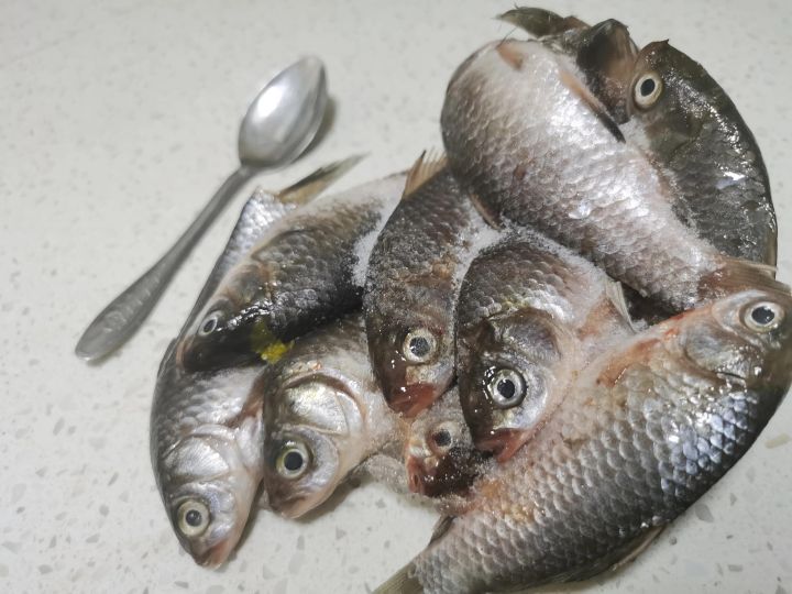 怎么杀鱼完整步骤（教你一招剖鱼的绝妙方法）