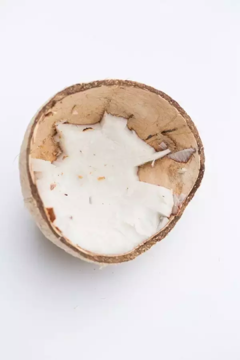 椰子壳可以做什么（椰壳的有效作用文章分享）