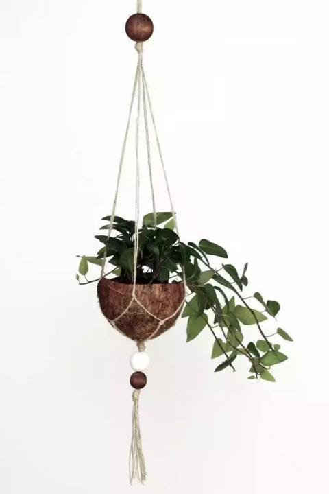 椰子壳可以做什么（椰壳的有效作用文章分享）