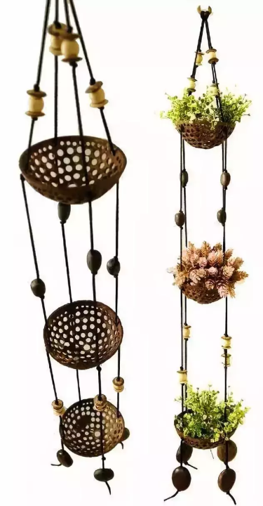 椰子壳可以做什么（椰壳的有效作用文章分享）