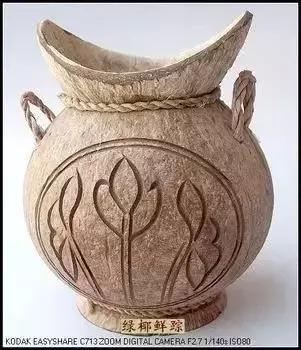 椰子壳可以做什么（椰壳的有效作用文章分享）