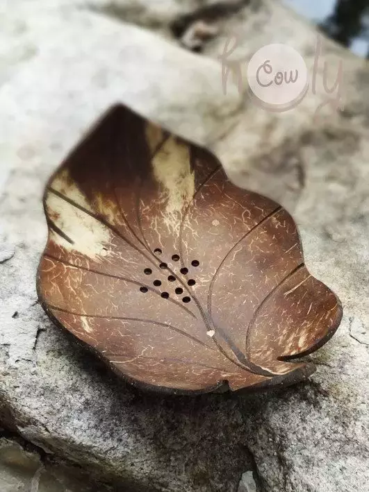 椰子壳可以做什么（椰壳的有效作用文章分享）