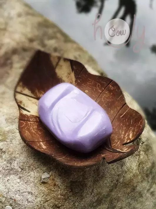 椰子壳可以做什么（椰壳的有效作用文章分享）