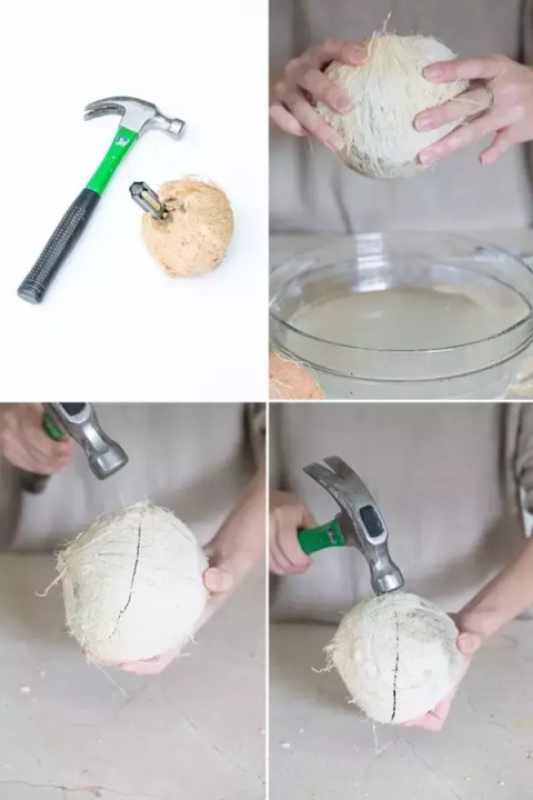 椰子壳可以做什么（椰壳的有效作用文章分享）