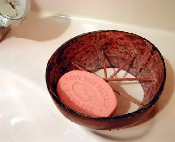 椰子壳可以做什么（椰壳的有效作用文章分享）