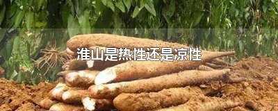 ​淮山是热性还是凉性