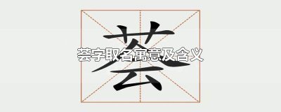 ​荟字取名寓意及含义