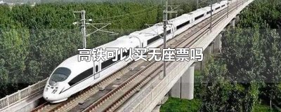 ​高铁可以买无座票吗