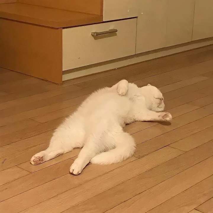 778是什么意思（分享15个网络流行用语的含义）